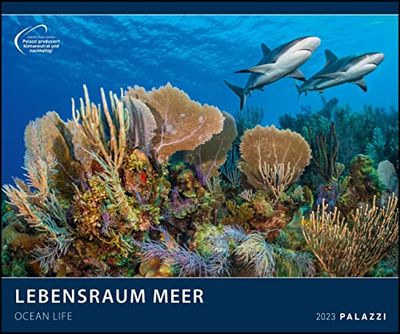 Habitat Sea 2023 - Picture Calendar - Poster Calendar - 60 x 50: Ocean Life