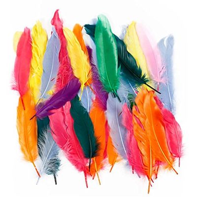 Plumas, L: 12 – 15 cm, colores variados, pato, 350 asstd
