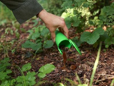 cit Pułapka na ślimaki SnailBowl