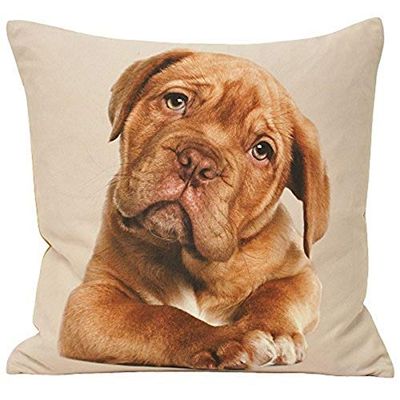 Riva Paoletti labrador fjäder fylld kudde djurtryck design-fex mocka tyg - dold dragkedja stängning-maskin tvättbar-100 fodral (45 x 45 cm), polyester, brun, 45 x 45 cm