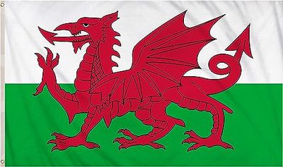 SHATCHI Large 5ft x 3ft Wales Welsh Dragon National Flags Events Pub Bbq Decorations Banner Support Table Cover Football Rugby Sports, Polyester