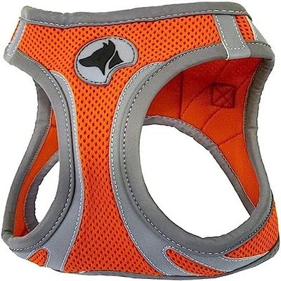 Croci C5081167 Hiking Arnés Reflective, M, Naranja