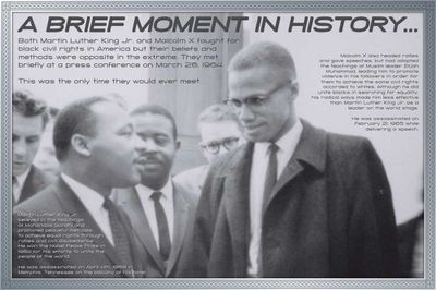 Pedagogisk affisch plus tillbehör Martin Luther King & Malcolm X politik flerfärgad