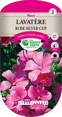 Lavatere Rose Silver Cup