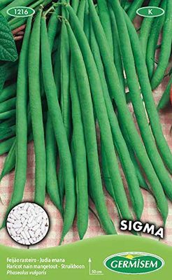 Germisem Sigma Semi di Fagioli Francesi 100 g