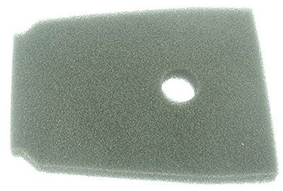 Greenstar 30909 luchtfilter Oleo Mac (X4108033)