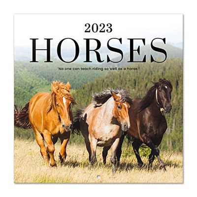 Grupo Erik Calendario caballos 2023 - Calendario 2023 pared con certificado FSC - Calendario mensual 30x30cm - Calendario animales