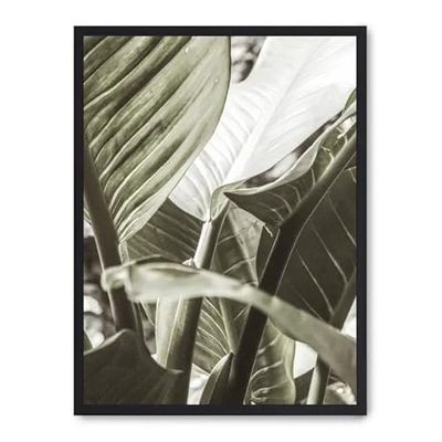 Tableau details of banana leaves ii_FASE5