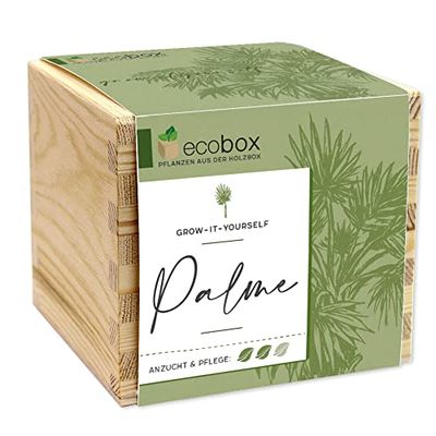 Feel Green - WE Create Nature ecobox, Palmier, Plantes dans la boîte en Bois 11 x 11 x 10 cm, fabriqué en Autriche, idée Cadeau Durable, kit de Culture