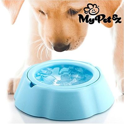 My Pet Ez Abreuvoir pour Animaux de Compagnie