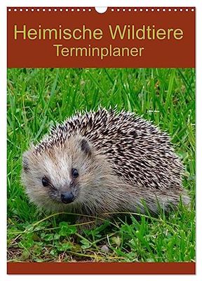 Heimische Wildtiere Terminplaner (Wandkalender 2026 DIN A3 hoch), CALVENDO Monatskalender: Wildtiere in ihrem natürlichen Lebensraum