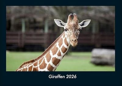Giraffen 2026 Fotokalender DIN A4: Monatskalender mit Bild-Motiven von Haustieren, Bauernhof, wilden Tieren und Raubtieren