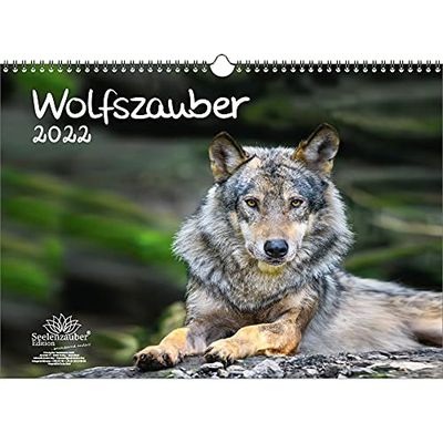 Wolfzauber Calendrier Din A3 pour Loup et Loups 2022