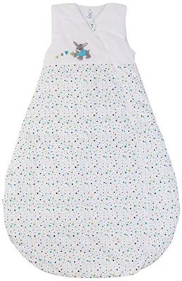 Sterntaler Saco de dormir de bebé, uso durante todo o ano, termorregulação, com fecho de correr, tamanho: 110 cm, Erik, branco/azul turquesa/verde