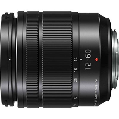 Panasonic Lumix G obiettivo, 25 mm, Asph., mirrorless micro quattro terzi, nero h-h025 K (USA)