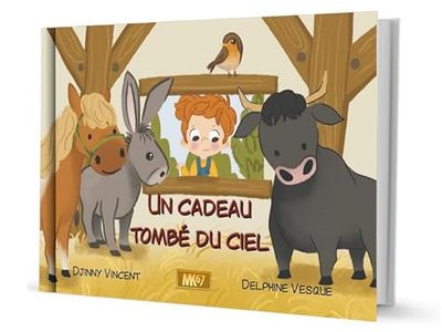 Un cadeau tombé du ciel (RIGIDE)