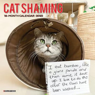 Cat Shaming 2025 Wall