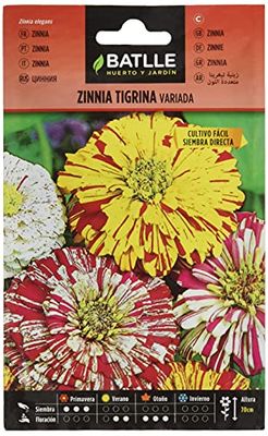 Semillas Batlle Zinnia TIGRINA Vario