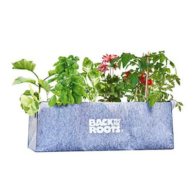 Back to the Roots Jardinière surélevée Peu encombrante pour Tous Types de Plantes - Tissu résistant aux intempéries - Gris - S