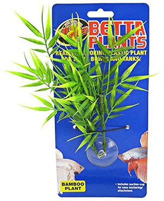 Zoomed Betta Plante Bambou pour Reptile/Amphibien