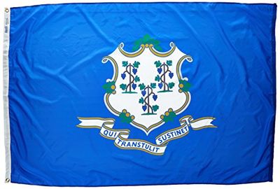 Annin Bandera de Connecticut Estado, Multi-Color, 4 by 6 Foot
