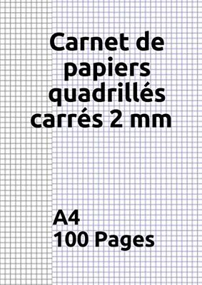 Carnet de papiers quadrillés carrés 2 mm :: Papier à dessin/100 pages quadrillés de 2 mm /Recto imprimé en bleu /verso imprimé en gris