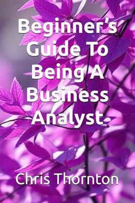 Beginner’s Guide To Being A Business Analyst
