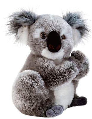 Plush & Company - 05932 - Peluche - Koline Koala - 22 cm