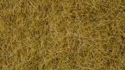Noch 07101 - wildgras, beige