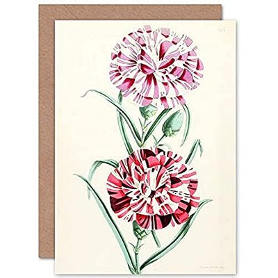 Flower Striped Pinks Petals Greeting Card With Envelope Inside Premium Quality