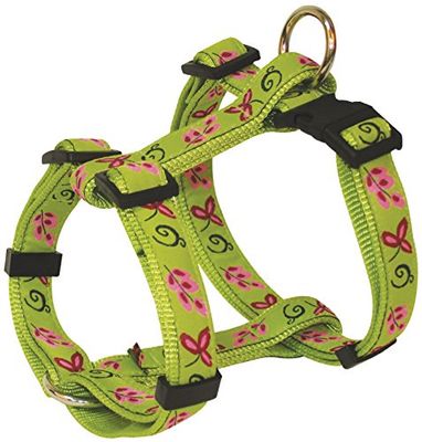 Arquivet 1825 Petral Spring 25-40cm/15mm
