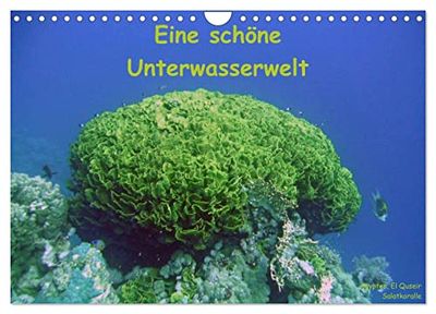 Eine schöne Unterwasserwelt (Wandkalender 2024 DIN A4 quer), CALVENDO Monatskalender: Bilder aus der Unterwasserwelt