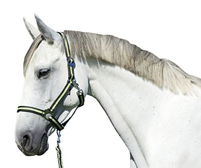 Covalliero, Kerbl Hippo-Collare per Testa, Colore: Antracite/Limone Unisex-Adulto, Anthracite/Lemon, Taglia 0