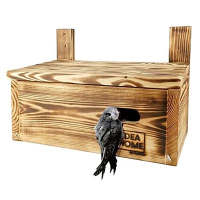 Leviatan APUS Caja Nido Maciza para Vencejos, Totalmente Retorcido, Casita para Pájaros para Jardín, Resistente a la Intemperie, sin Procesar, Listo para Usar, no Requiere Montaje