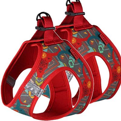 arppe 196410040570 - Imbracatura Zzip Nok