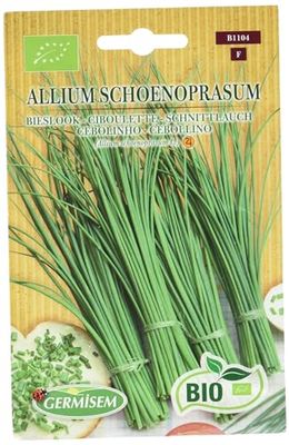 Germisem Orgánica Allium Schoenopasum Semillas de Cebollino 2 g, ECBIO1104