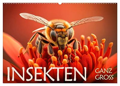Insekten ganz gross (Wandkalender 2026 DIN A2 quer), CALVENDO Monatskalender: Kleine Insekten im Grossformat