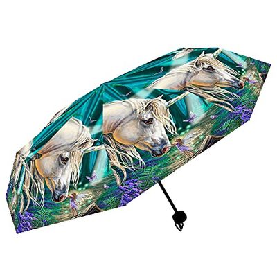 Nemesis Now Fairy Whispers paraply (LP), flerfärgad, 55 cm