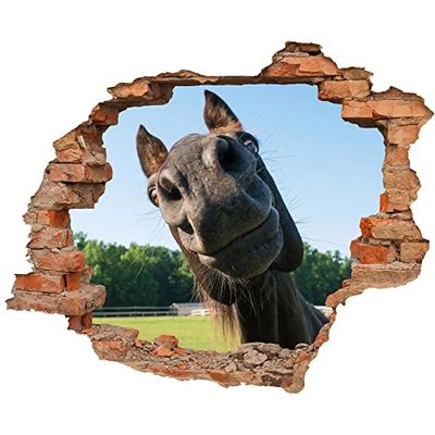 Graz Design - Adhesivo decorativo para pared (70 x 57 cm), diseño de caballo