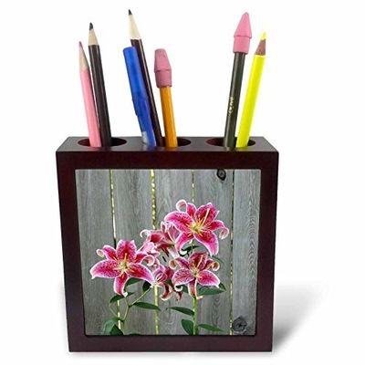3drose PH 228229 1 12,7 cm "Stargazer Lily par rustique Clôture" carrelage porte-stylo