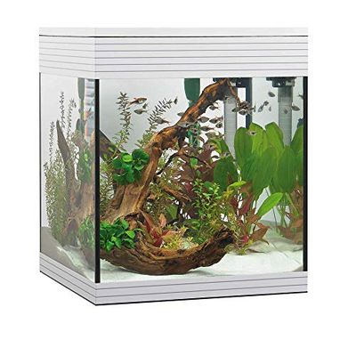 Askoll Aa350046 - Acuario Pure LED, M, Blanco
