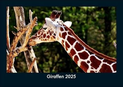 Giraffen 2025 Fotokalender DIN A5: Monatskalender mit Bild-Motiven von Haustieren, Bauernhof, wilden Tieren und Raubtieren