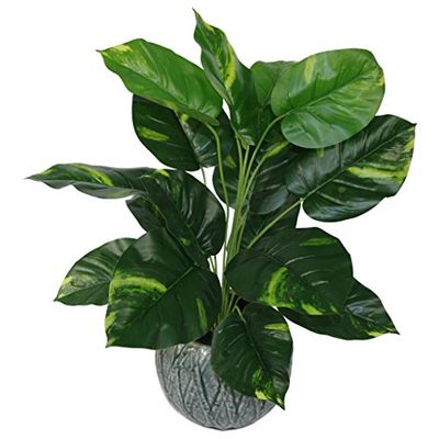 Leaf Design UK Vaso de plástico (60 cm), preto