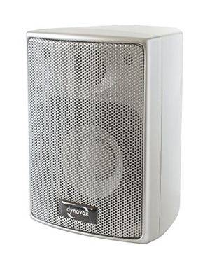 Dynavox AS-301 High Class Altoparlanti da 60 Watt, 2 unità, colore: Argento