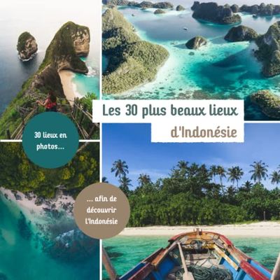 Les 30 plus beaux lieux d'Indonésie: Livre de voyage illustré sur l'Indonésie, guide pratique d'aide aux voyageurs