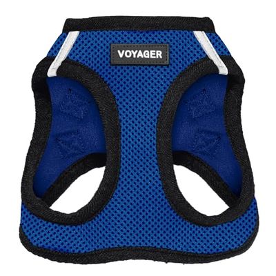 Best Pet Supplies Voyager Step-in Air – Harnais en Maille résistante aux intempéries pour Chiens de Petite et Moyenne Taille, Harnais (Bleu Roi/Bordure Noire), Taille M