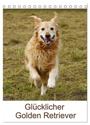 Glücklicher Golden Retriever (Tischkalender 2025 DIN A5 hoch), CALVENDO Monatskalender: Hundealltag