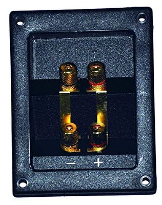 LECHPOL Haut-parleurs et Microphones Marque Modèle Terminal de Haut-Parleur Socket GNI0242 4 x Banane