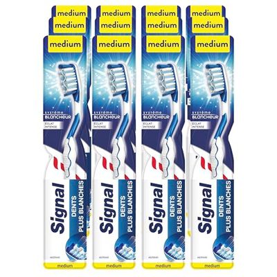 Signal Spazzolino da denti X12 Medium, sistema sbiancante brillante intenso, smalto dei denti più bianco (confezione da 12)