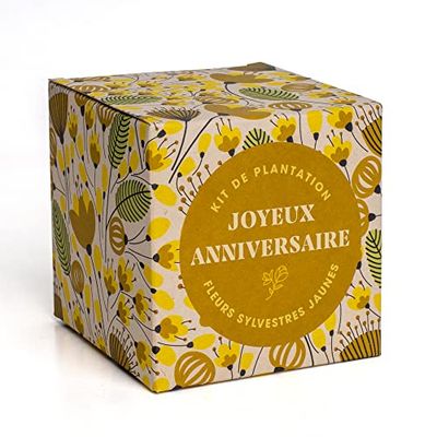 Resetea | Dites-le lui avec des fleurs | Joyeux anniversarire | kit de plantation de fleurs sylvestres jaunes.